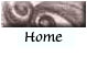 home button